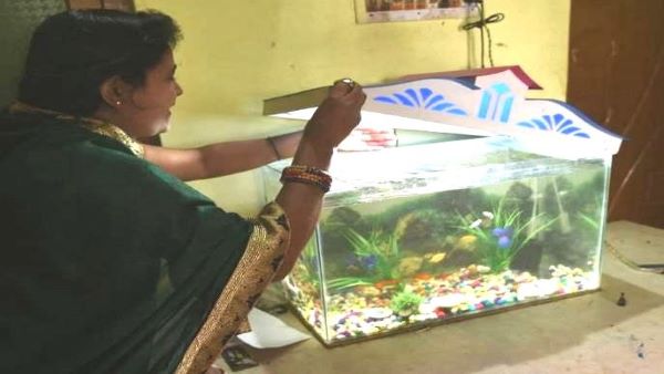 fish-