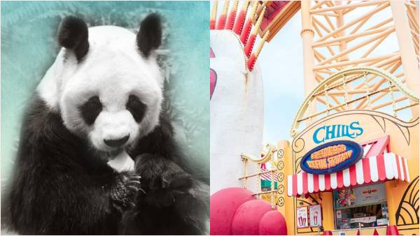 बहुत दुखद है एन एन का ऐसे चले जाना