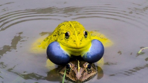 पहली बार ऐसा हुआ पहली बार ऐसा हुआ