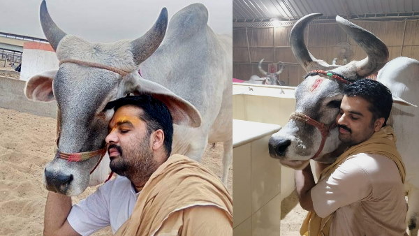  सरकारी कार्यालय में गौमाता की तस्वीर जरूर लगाते हैं