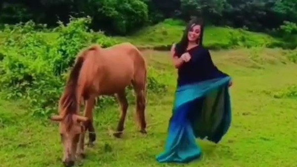 'मार डाला' सॉन्ग पर घोड़े के साथ डांस