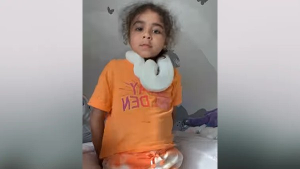 अजगर के साथ कर चुकी है स्टंट