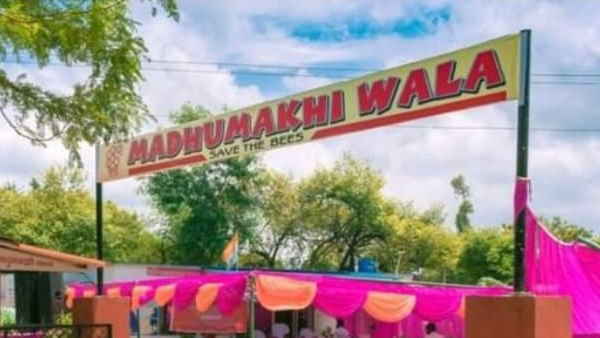 2016 में शुरू किया मधुमक्खी पालन का स्टार्टअप