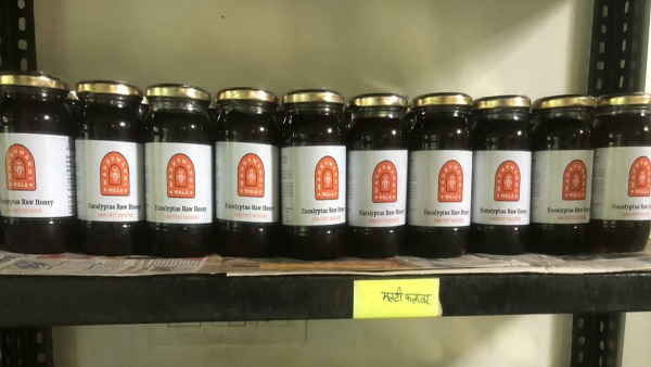 बाराबंकी में पाली मधुमक्खी और लखनऊ में बनाई लैब