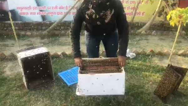 महज 5 हजार रुपए में शुरु हो सकता है ये स्टॉर्टअप