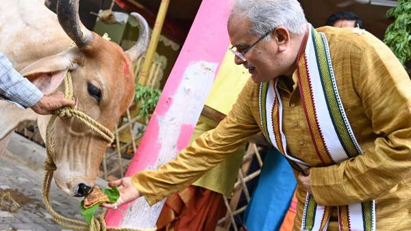  सीएम भूपेश ने गौमाता को खिलाया चारा, की पूजा अर्चना