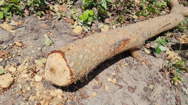 सरकार बोली,अब सब प्रधानमंत्री के हाथ में 