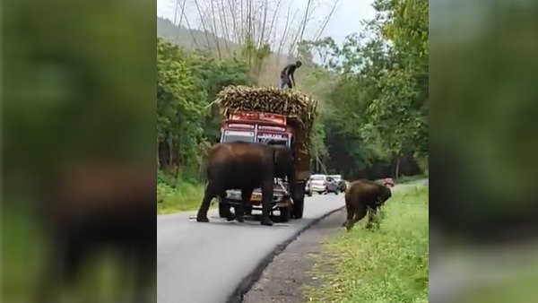 किया चक्का जाम