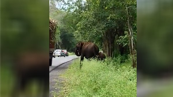 ट्विवटर पर हिट हो गया वीडियो