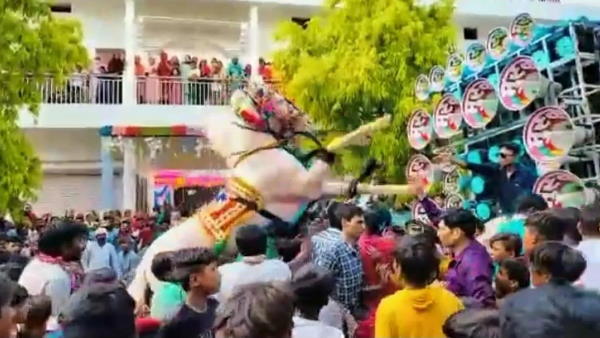 'तेरे इश्क में नाचेंगे...' बज रहा था गाना, तभी...