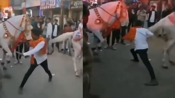 घोड़ों के बीच घुसा शख्स, फिर जो हुआ...