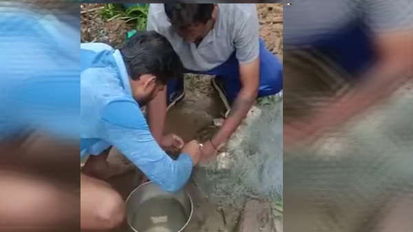 गांव में फैली खबर गांव में फैली खबर