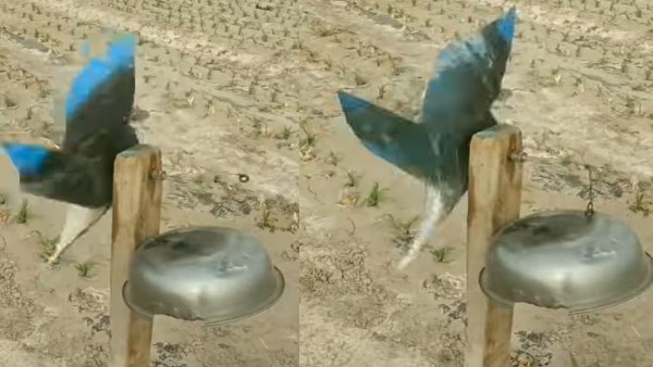 किसान के दिमाग के आगे इंजीनियर भी फेल!