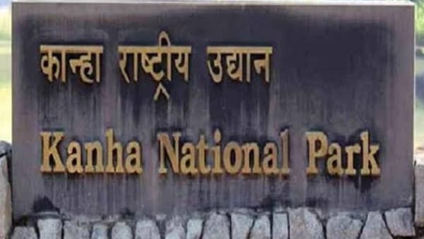 एक बार फिर मिलेगा मध्य प्रदेश को टाइगर स्टेट का दर्जा 
