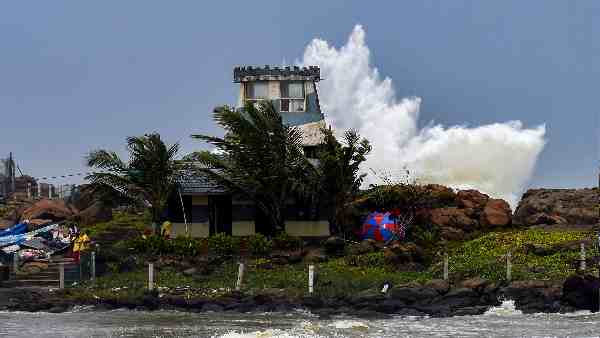 केरल में अफ्रीकी स्वाइन फीवर फैलने के बाद सुअरों को मारने के आदेश