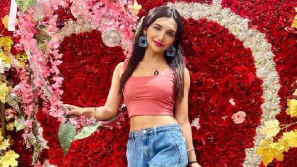 वेब सीरीज में भी किया है काम