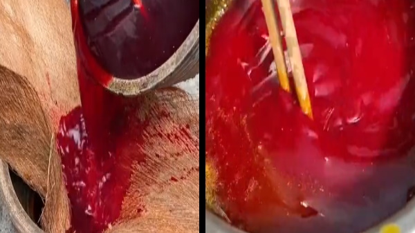 ऐसे तैयार करता है लिपस्टिक 