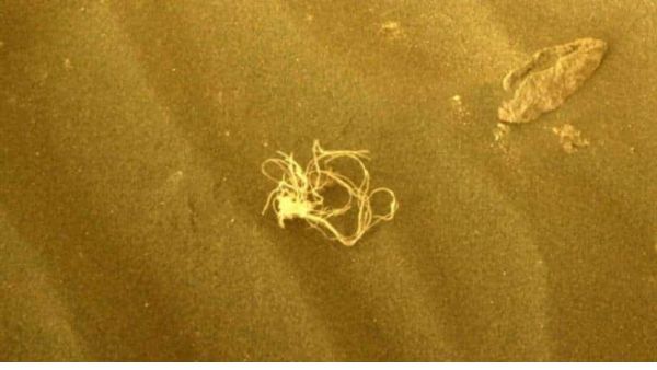 मैगी जैसा मलबा मिला