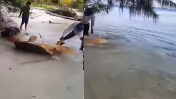 गहरे पानी में लेजाकर तैरने में भी मदद करता है गहरे पानी में लेजाकर तैरने में भी मदद करता है