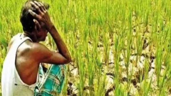  यूपी के 19 जिलों में सूखे की कगार पर