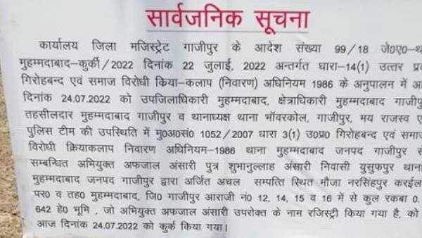 योगी योगी
