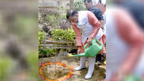 15 अगस्त तक चलेगा अभियान, लगाए जाएंगे 35 करोड़ पौधे 