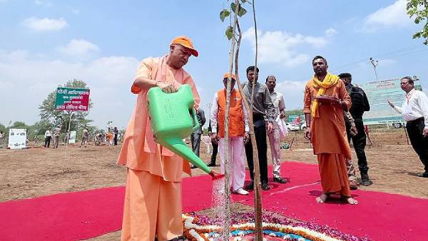 चित्रकूट में सीएम योगी ने की वृक्षारोपण अभियान की लांचिंग 