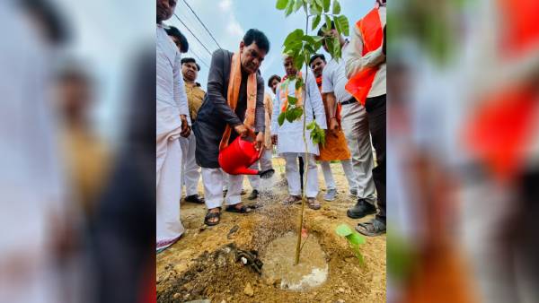 कैबिनेट मंत्री एके शर्मा ने अलीगढ़ में किया वृक्षारोपण 