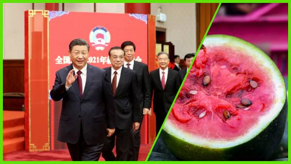 शी जिनपिंग के देश में मंदी का असर 