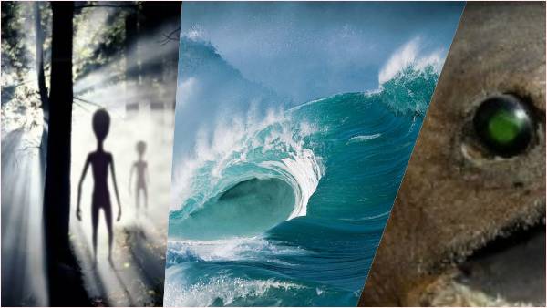 समुद्र में मिले नई प्रजातियों के घर