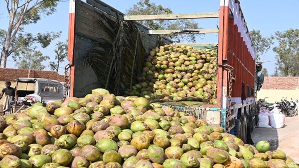 3 लाख 20 हजार की लगी चपत 