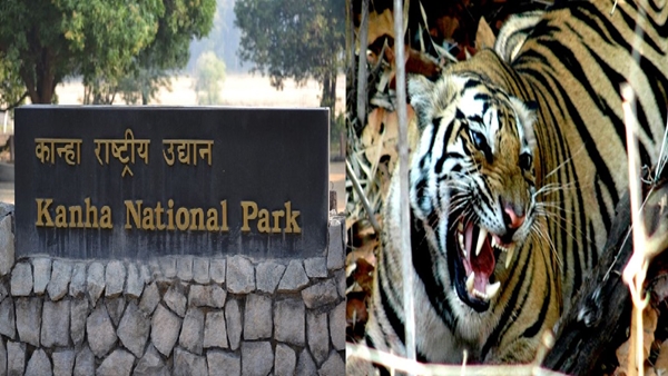 इसलिए कान्हा लाई गई थी ‘सुंदरी’