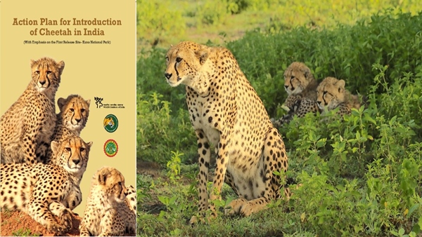 1952 में घोषित किया गया विलुप्त 