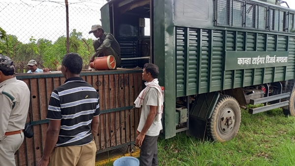 हाईकोर्ट के निर्देश पर किया जा रहा था ट्रेंड 
