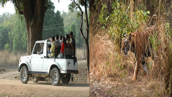 इंसानों के बीच अभी भी शिकार की मानसिकता 