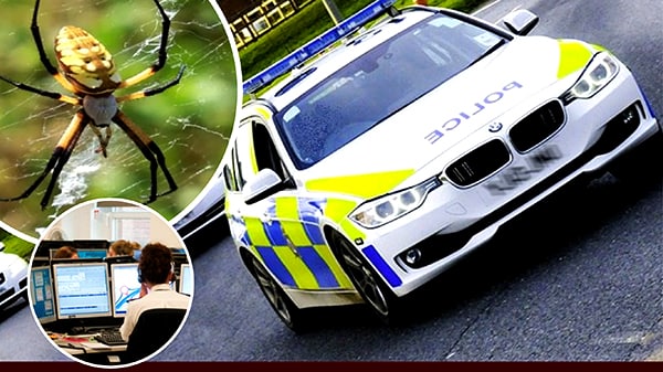 'तुम मेरी आखिरी उम्मीद हो'