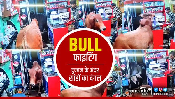सोशल मीडिया पर वीडियो वायरल 
