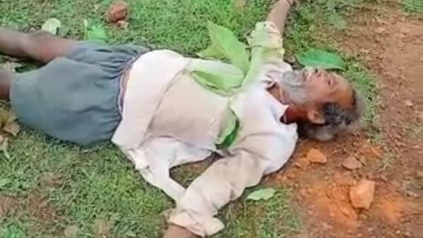 डीएफओ ने 2 कर्मचारियों को किया निलंबित