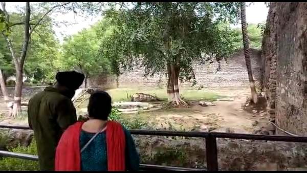 चिड़ियाघर