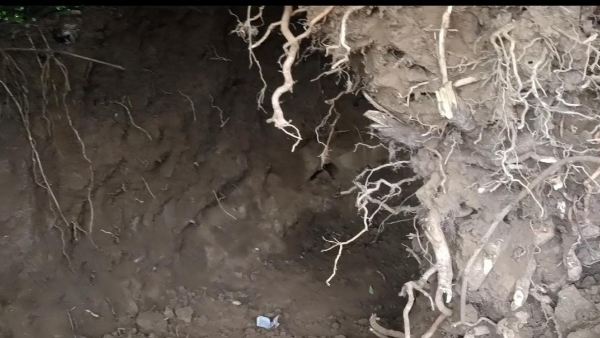 सींगपुरा गांव में अज्ञात लोगों ने की खजाने के लिए खुदाई सींगपुरा गांव में अज्ञात लोगों ने की खजाने के लिए खुदाई