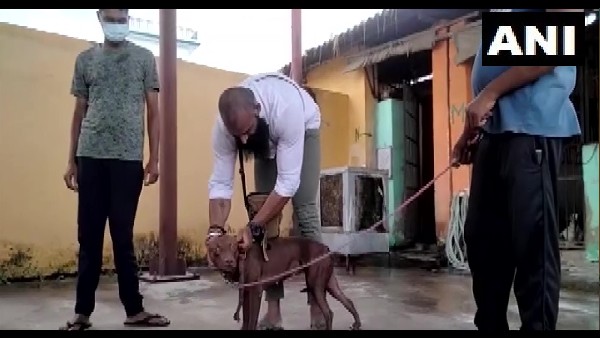 यूपी की दर्दनाक घटना