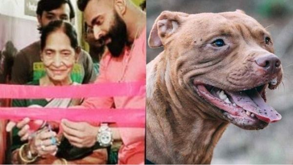 मालिक अमित को सौंपा गया पिटबुल