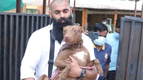 जिम ट्रेनर हैं 'बाहुबली'