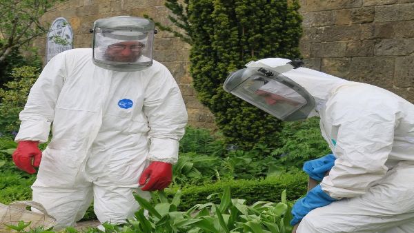 बगीचे के कर्मचारी हजमत सूट पहनते हैं