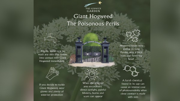 ज्यादातर लोग इस बात से अनजान