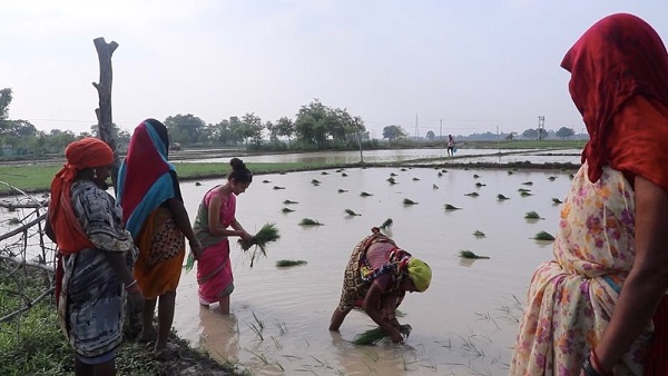 बिहार में रहने के प्लान से गई थीं रतन