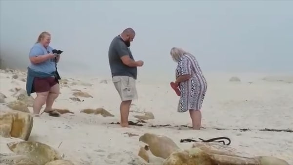 दोनों बहुत खुश नजर आ रहे