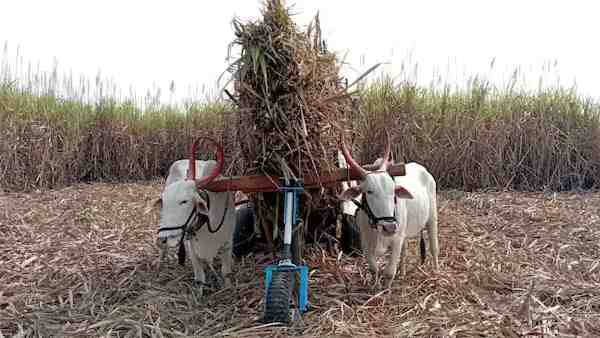 अभी टेस्टिंग के दौर से गुजर रहा है रोलिंग सिस्टम