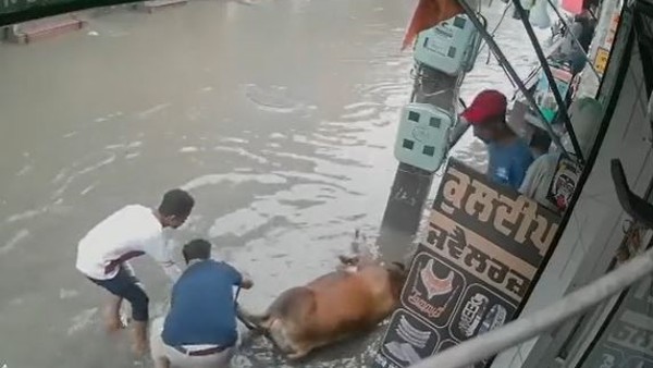 युवक ने खुद खतरा लिया मोल