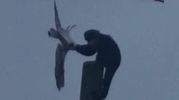 'वो घूरने वाली नजरों से देखता है'